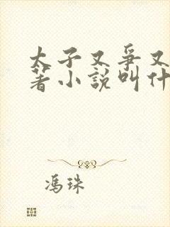 太子又争又抢原著小说叫什么名字