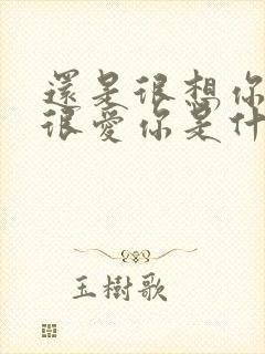 还是很想你还是很爱你是什么歌