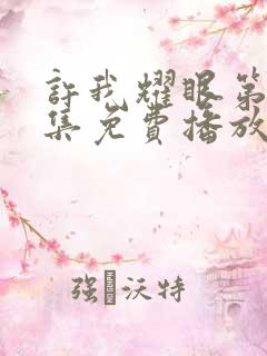 许我耀眼第11集免费播放