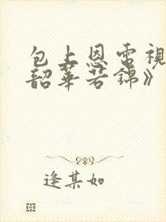 包上恩电视剧《韶华若锦》