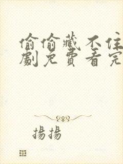 偷偷藏不住电视剧免费看完整版