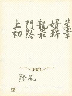 上门龙婿叶辰萧初然最新章节