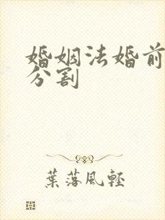 婚姻法婚前房产分割