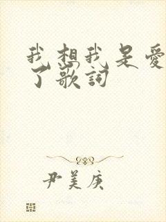 我想我是爱上你了歌词