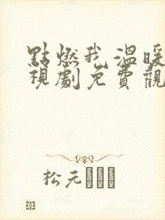 点燃我温暖你电视剧免费观看全