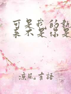 可是我的执着从来不是你是什么歌