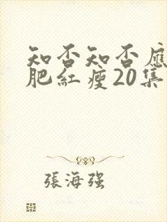 知否知否应是绿肥红瘦20集