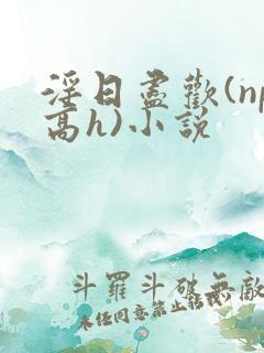 淫日尽欢(np高h)小说