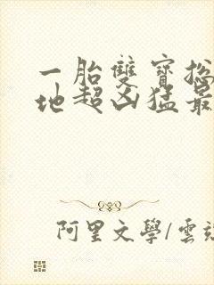 一胎双宝总裁爹地超凶猛最新