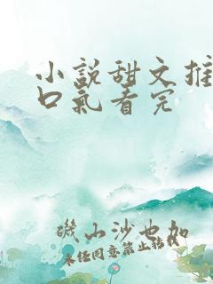 小说甜文推文一口气看完