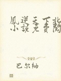 凤逆天下北月篇小说免费阅读