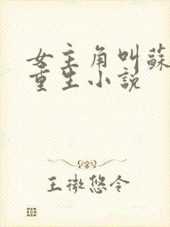 女主角叫苏禾的重生小说