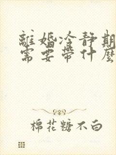 离婚冷静期过了需要带什么