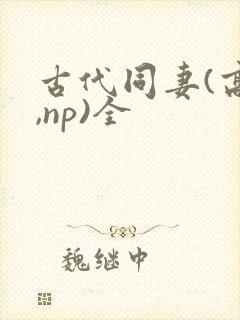 古代同妻(高h,np)全