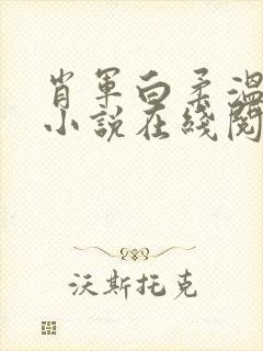 肖军白柔温婉的小说在线阅读免费全文