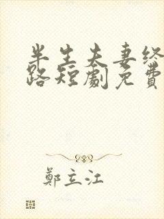 半生夫妻终成陌路短剧免费观看全集