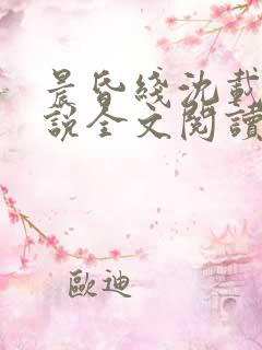 晨昏线沈载伦小说全文阅读无弹窗