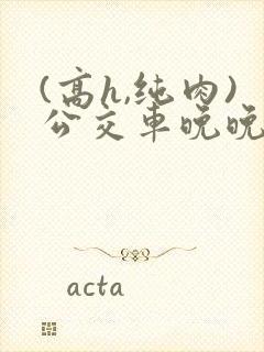 (高h,纯肉)公交车晚晚