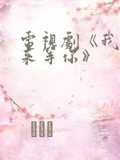 电视剧《我在未来等你》