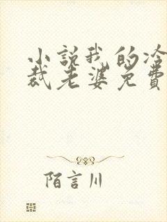 小说我的冷艳总裁老婆免费阅读