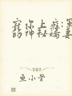 宠你上瘾:军爷的神秘娇妻 久陌离