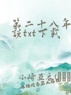 第二十八年春小说txt下载