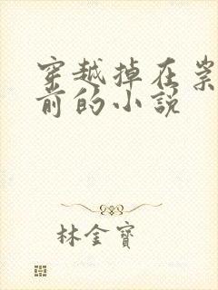 穿越掉在崇祯面前的小说