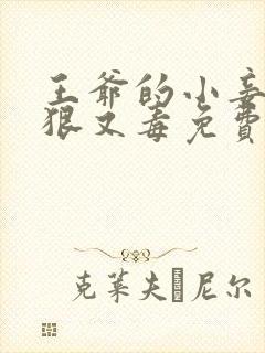 王爷的小妾她又狠又毒免费阅读小说