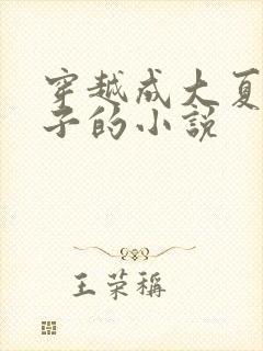 穿越成大夏九皇子的小说