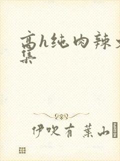 高h纯肉辣文合集