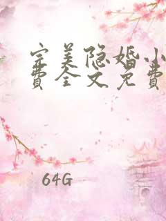 完美隐婚小说免费全文免费阅读