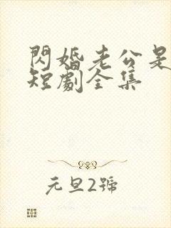 闪婚老公是豪门短剧全集