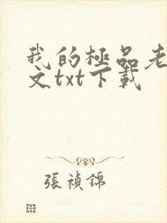 我的极品老婆全文txt下载