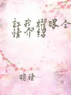 许我耀眼全部剧情介绍