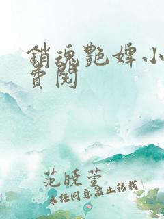 销魂艳婢小说免费阅