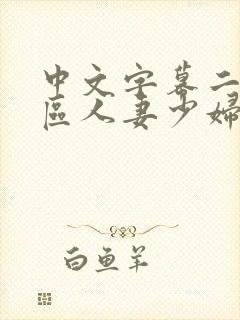 中文字幕二区三区人妻少妇