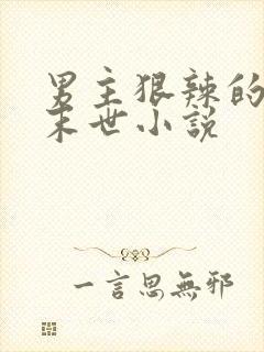 男主狠辣的重生末世小说