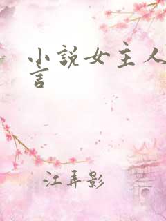 小说女主人林辛言