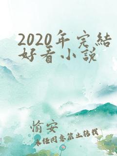 2020年完结好看小说