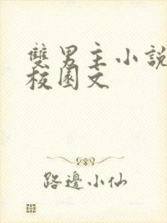 双男主小说穿书校园文