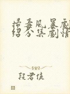 扫毒风暴剧情介绍分集剧情电视猫