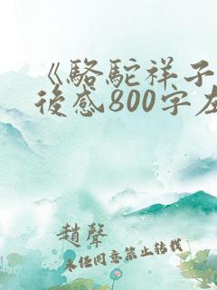 《骆驼祥子》读后感800字左右