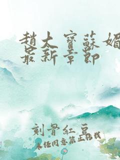 赵大宝苏媚小说最新章节