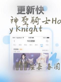 神圣骑士Holy Knight：结局+番外