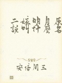 二嫁明月原著小说叫什么名字