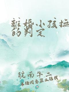 离婚小孩抚养权的判定