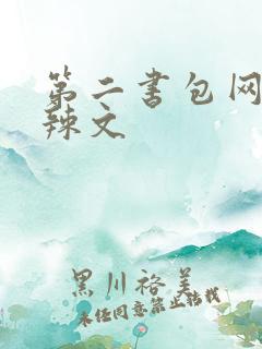 第二书包网高h辣文