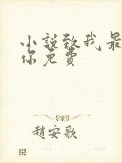 小说致我最爱的你免费