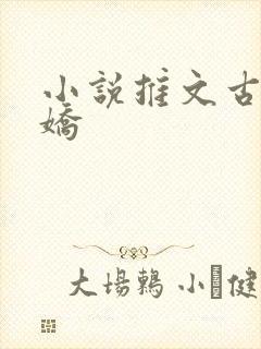小说推文古言病娇