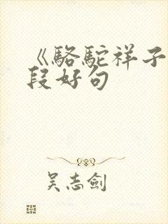 《骆驼祥子》好段好句